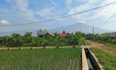 Tanah Purwokerto View Bagus, Cocok Untuk Masa Pensiun