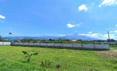 Tanah Purwokerto View Bagus, Cocok Untuk Masa Pensiun
