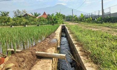 Tanah Purwokerto View Bagus, Cocok Untuk Masa Pensiun