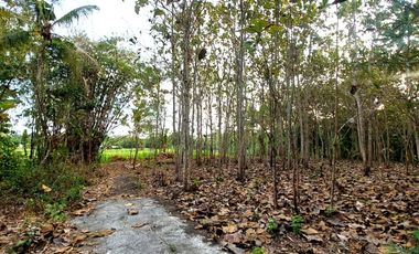 Tanah Pekarangan di Grujugan Bantul
