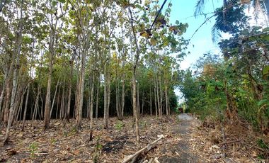 Tanah Pekarangan di Grujugan Bantul