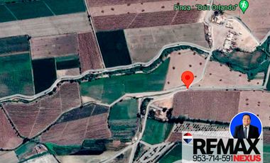 SE VENDE TERRENO DE CAMPO EN PISCO
