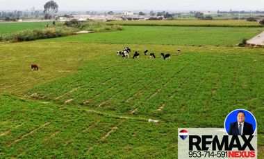 SE VENDE TERRENO DE CAMPO EN PISCO
