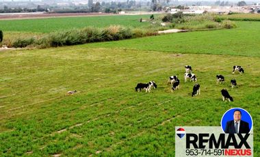 SE VENDE TERRENO DE CAMPO EN PISCO