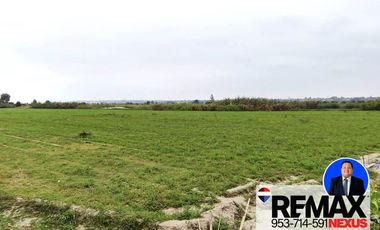 SE VENDE TERRENO DE CAMPO EN PISCO