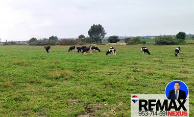 SE VENDE TERRENO DE CAMPO EN PISCO