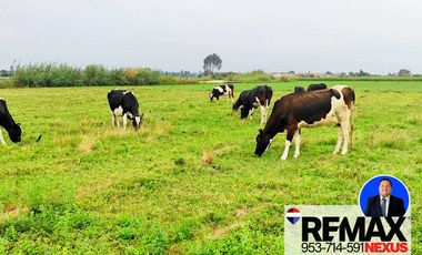 SE VENDE TERRENO DE CAMPO EN PISCO