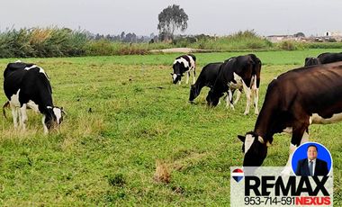 SE VENDE TERRENO DE CAMPO EN PISCO