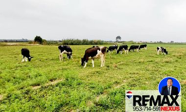 SE VENDE TERRENO DE CAMPO EN PISCO