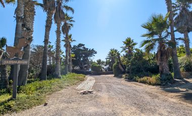 HACIENDA LA BURRITA - A true Oceanfront Oasis on 5 ACRES with PRIVATE BEACH