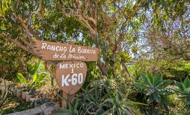 HACIENDA LA BURRITA - A true Oceanfront Oasis on 5 ACRES with PRIVATE BEACH
