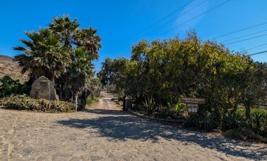 HACIENDA LA BURRITA - A true Oceanfront Oasis on 5 ACRES with PRIVATE BEACH