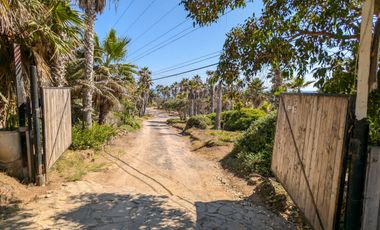 HACIENDA LA BURRITA - A true Oceanfront Oasis on 5 ACRES with PRIVATE BEACH