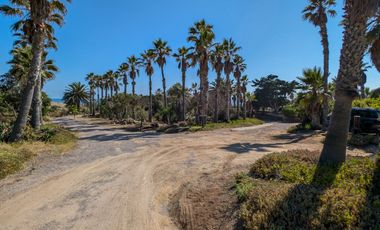 HACIENDA LA BURRITA - A true Oceanfront Oasis on 5 ACRES with PRIVATE BEACH