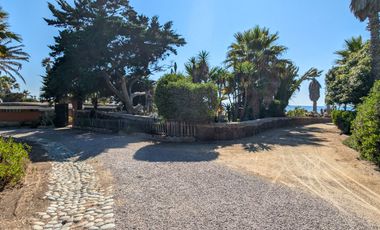 HACIENDA LA BURRITA - A true Oceanfront Oasis on 5 ACRES with PRIVATE BEACH
