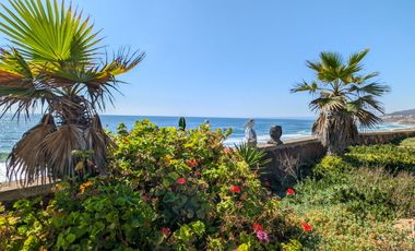 HACIENDA LA BURRITA - A true Oceanfront Oasis on 5 ACRES with PRIVATE BEACH
