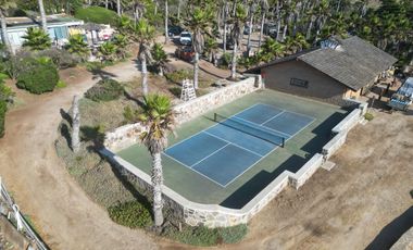 HACIENDA LA BURRITA - A true Oceanfront Oasis on 5 ACRES with PRIVATE BEACH