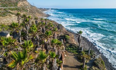 HACIENDA LA BURRITA - A true Oceanfront Oasis on 5 ACRES with PRIVATE BEACH