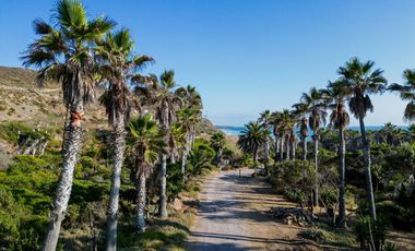 HACIENDA LA BURRITA - A true Oceanfront Oasis on 5 ACRES with PRIVATE BEACH