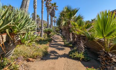 HACIENDA LA BURRITA - A true Oceanfront Oasis on 5 ACRES with PRIVATE BEACH