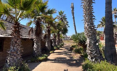 HACIENDA LA BURRITA - A true Oceanfront Oasis on 5 ACRES with PRIVATE BEACH