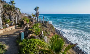 HACIENDA LA BURRITA - A true Oceanfront Oasis on 5 ACRES with PRIVATE BEACH