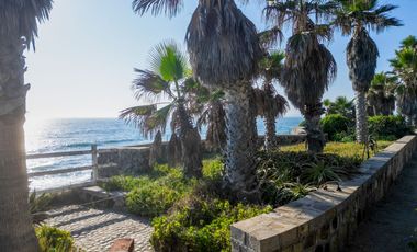 HACIENDA LA BURRITA - A true Oceanfront Oasis on 5 ACRES with PRIVATE BEACH
