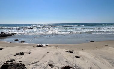HACIENDA LA BURRITA - A true Oceanfront Oasis on 5 ACRES with PRIVATE BEACH