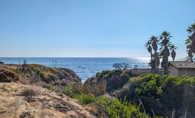 HACIENDA LA BURRITA - A true Oceanfront Oasis on 5 ACRES with PRIVATE BEACH