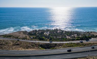 HACIENDA LA BURRITA - A true Oceanfront Oasis on 5 ACRES with PRIVATE BEACH