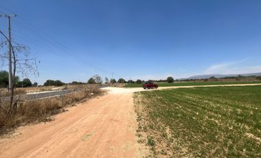 RANCHO 59 HECTAREAS EN SAN DIEGO UNION CON FRENTE CARRETERA, POZO, CONCESION, RANCHO AGRICOLA PRODUCTIVO
