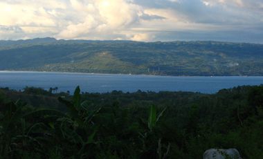 OCEAN VIEW HOUSE AND LOT FOR SALE ID 14813