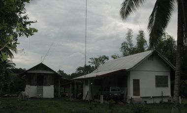 OCEAN VIEW HOUSE AND LOT FOR SALE ID 14813