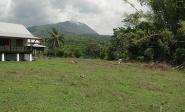 OCEAN VIEW HOUSE AND LOT FOR SALE ID 14813