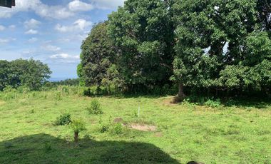 OCEAN VIEW HOUSE AND LOT FOR SALE ID 14813
