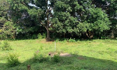 OCEAN VIEW HOUSE AND LOT FOR SALE ID 14813