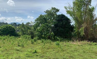 OCEAN VIEW HOUSE AND LOT FOR SALE ID 14813