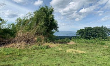 OCEAN VIEW HOUSE AND LOT FOR SALE ID 14813