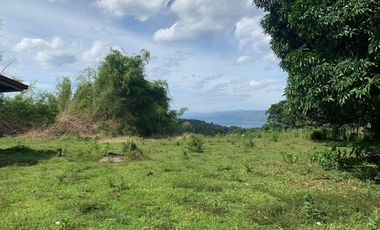 OCEAN VIEW HOUSE AND LOT FOR SALE ID 14813