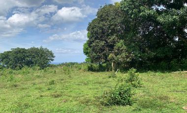 OCEAN VIEW HOUSE AND LOT FOR SALE ID 14813