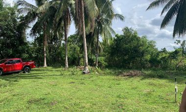 OCEAN VIEW HOUSE AND LOT FOR SALE ID 14813