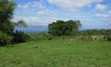 OCEAN VIEW HOUSE AND LOT FOR SALE ID 14813