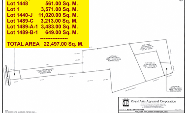 2.25 Has Industrial Lot For Sale along McArthur Highway beside Wilcon Depot Villasis Pangasinan