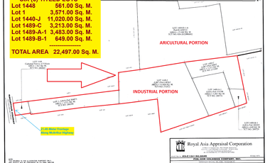2.25 Has Industrial Lot For Sale along McArthur Highway beside Wilcon Depot Villasis Pangasinan