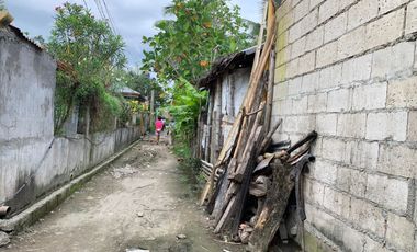 CHEAP HOUSE AND LOT FOR SALE ID 14782