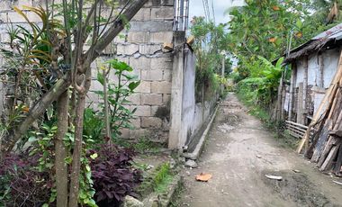 CHEAP HOUSE AND LOT FOR SALE ID 14782