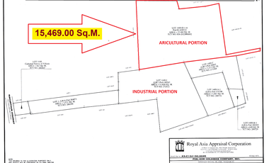 1.55 Has Agricultural Lot For Sale along Bacag Road, behind Wilcon Depot Villasis Pangasinan