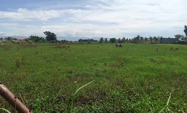 1.55 Has Agricultural Lot For Sale along Bacag Road, behind Wilcon Depot Villasis Pangasinan