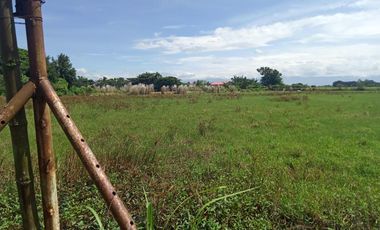 1.55 Has Agricultural Lot For Sale along Bacag Road, behind Wilcon Depot Villasis Pangasinan