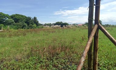 1.55 Has Agricultural Lot For Sale along Bacag Road, behind Wilcon Depot Villasis Pangasinan